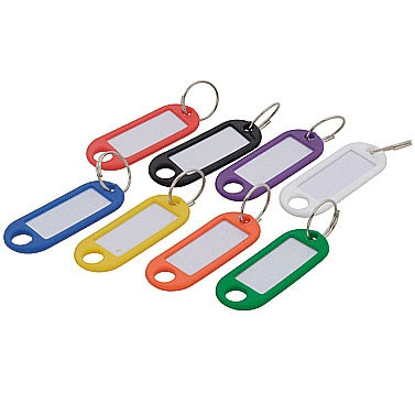 PLASTIC KEY FOBS (PACK 100)