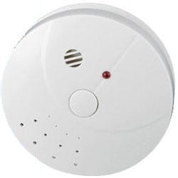 DOMESTIC SMOKE ALARM