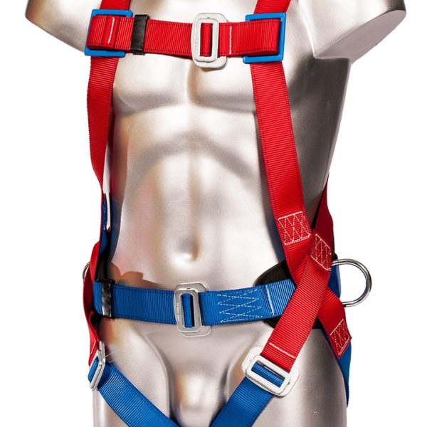 2 Point Safety Harness